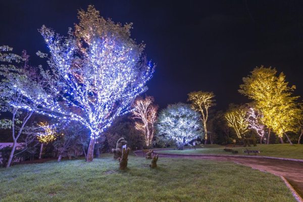 Las mejores ofertas de Hotel Mori no Kaze Oshuku Iwate 