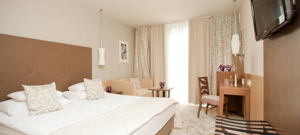 Las mejores ofertas de Grand hotel Sava Podcetrtek