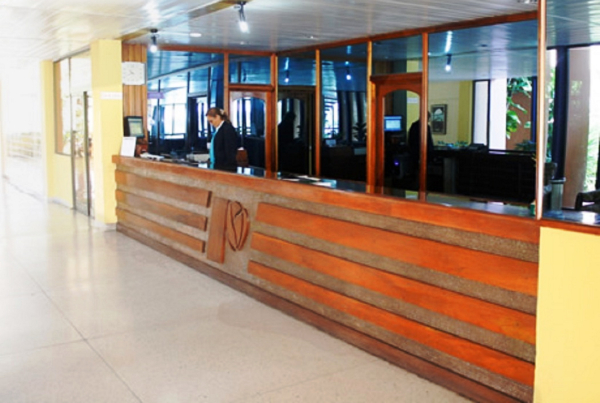 Las mejores ofertas de Pernik Holguín 