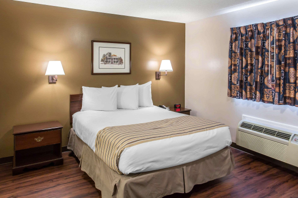 Las mejores ofertas de Rudy Studios Hermitage