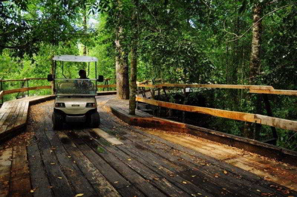 Las mejores ofertas de Nawelpi Lodge Huellelhue 