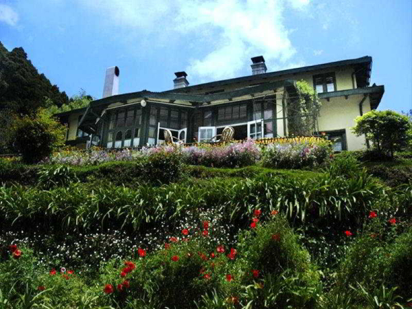 Las mejores ofertas de Windamere Darjiling 