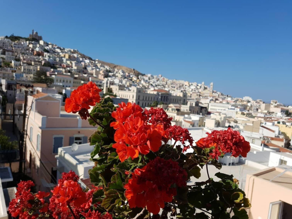Las mejores ofertas de Aegli Syros