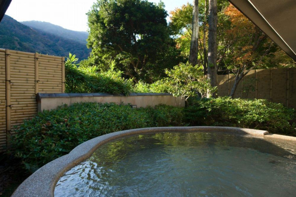 Las mejores ofertas de Tsubaki Tsurumi