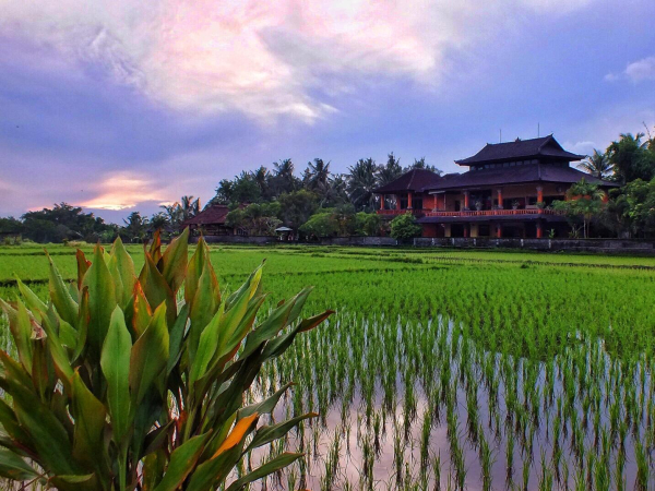 Las mejores ofertas de Villa Mandala Desa Boutique Resort Isla de Bali