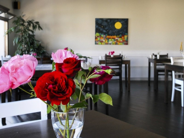 Las mejores ofertas de Jennifer Home Hotel Drama