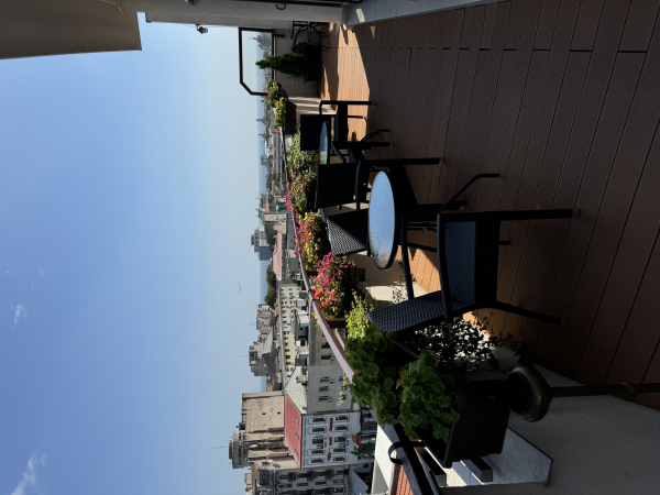 Las mejores ofertas de Guci Constanta 