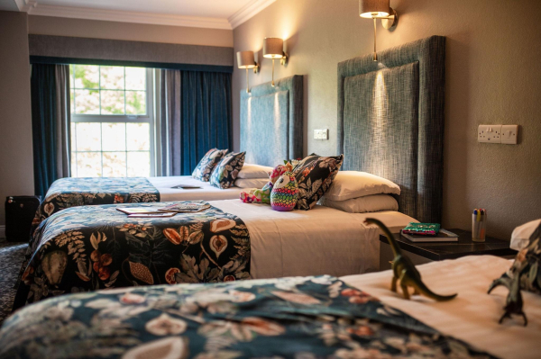 Las mejores ofertas de Falls Miltown Malbay