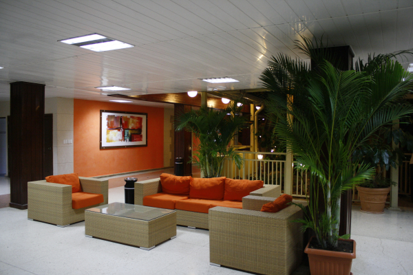 Las mejores ofertas de Ciego de Avila Ciego De Ávila