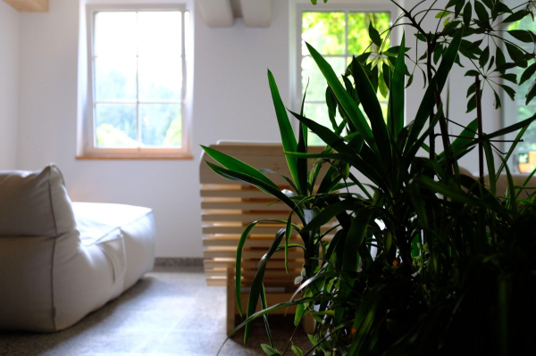 Las mejores ofertas de Parkhotel Sole Paradiso Moena