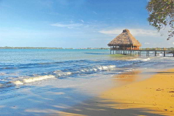 Las mejores ofertas de Playa Tortuga Hotel & Beach  Resort Bocas Del Toro
