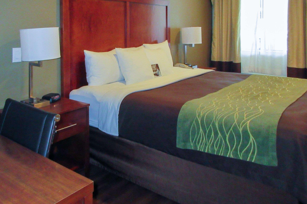 Las mejores ofertas de Comfort Inn Bishop Bishop 