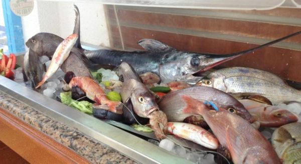 Las mejores ofertas de Corniche Palace Binzart