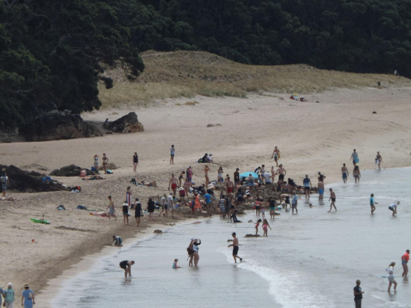 Las mejores ofertas de Harbourview Lodge Coromandel