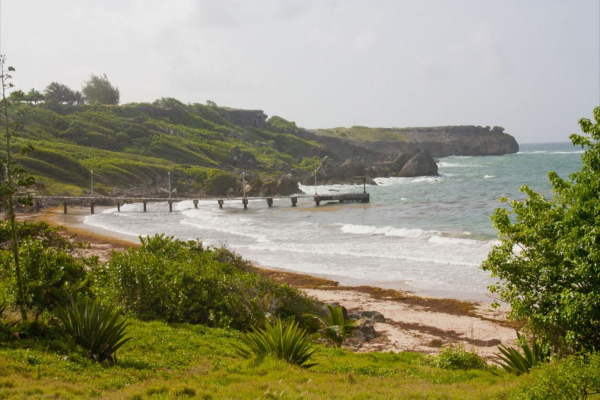 Las mejores ofertas de Tropical Winds Saint Philip