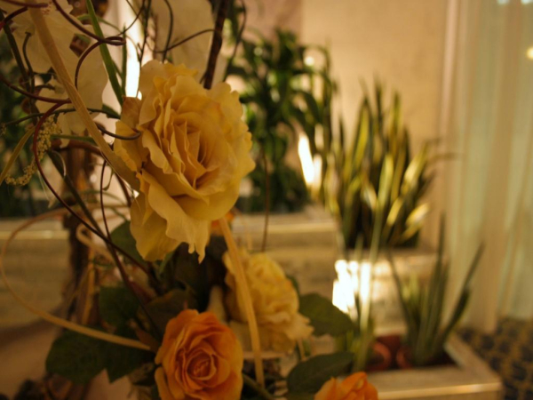 Las mejores ofertas de Hotel Villa Santa Cesarea Terme