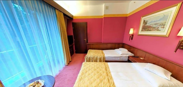 Las mejores ofertas de Parkhotel Vienna Bielsko-biala