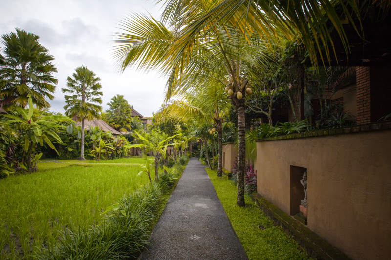 Las mejores ofertas de Bebek Tepi Sawah Restaurant & Villas Isla de Bali