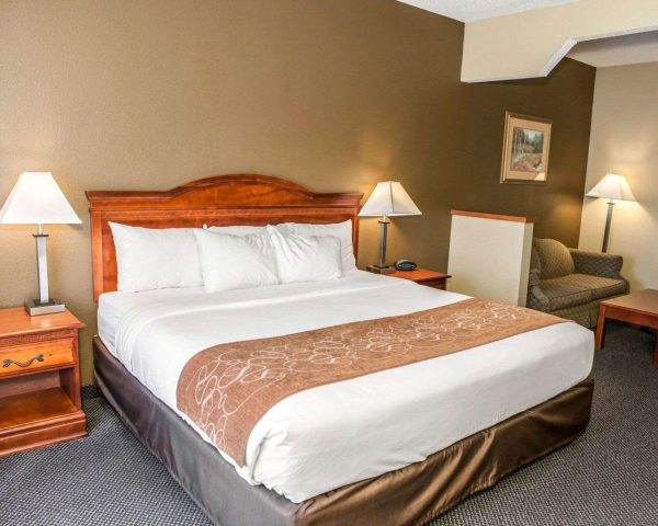 Las mejores ofertas de Comfort Suites Auburn Near I-69 Auburn 
