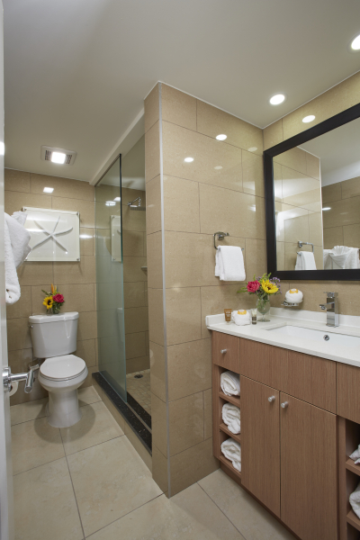 Las mejores ofertas de Divi Dutch Village Resort DRUIF BEACH