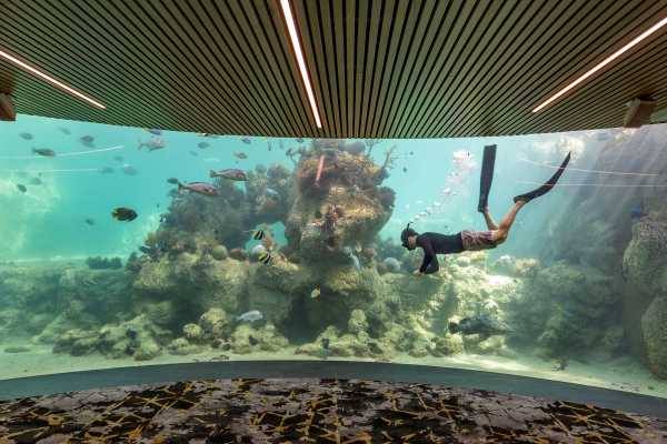 Las mejores ofertas de Daydream Island Resort Great Barrier Reef