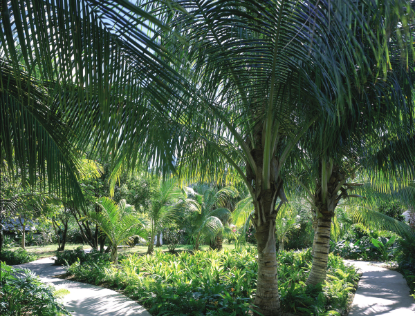 Las mejores ofertas de Carlisle Bay Antigua Old Road