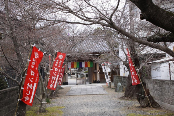 Las mejores ofertas de Himeyado Hanakazashi (women’s only) Gamagori