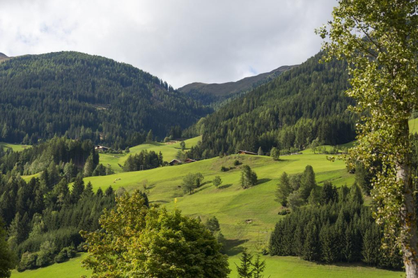 Las mejores ofertas de Alpenhotel Weitlanbrunn Hochpustertal