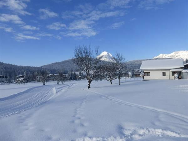 Las mejores ofertas de Menthof Hotel Seefeld