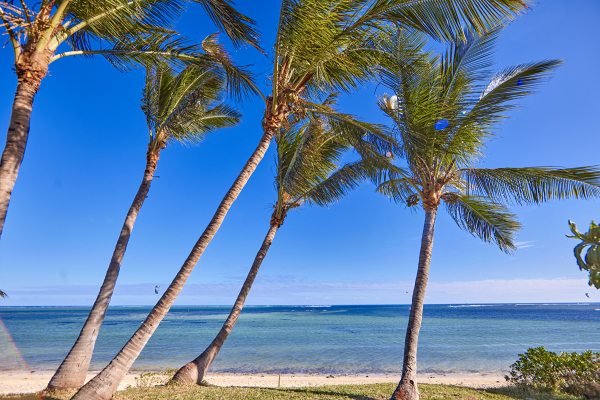 Las mejores ofertas de Hotel Riu Turquoise - All Inclusive Mauritius