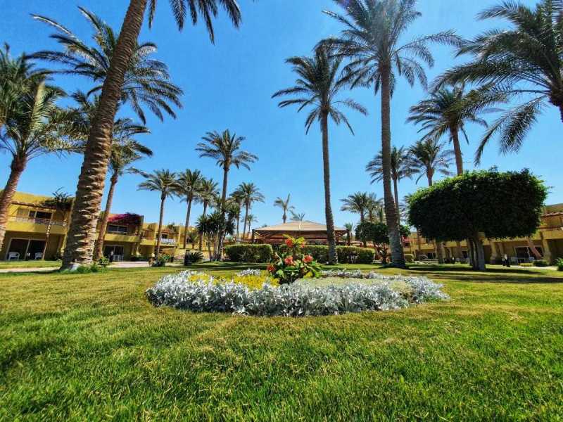 Las mejores ofertas de HOTEL PALM BEACH RESORT Hurgada