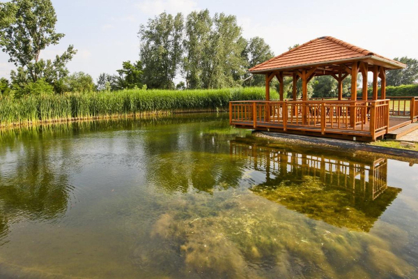 Las mejores ofertas de Vis Vitalis Medical Wellness Hotel Budapest