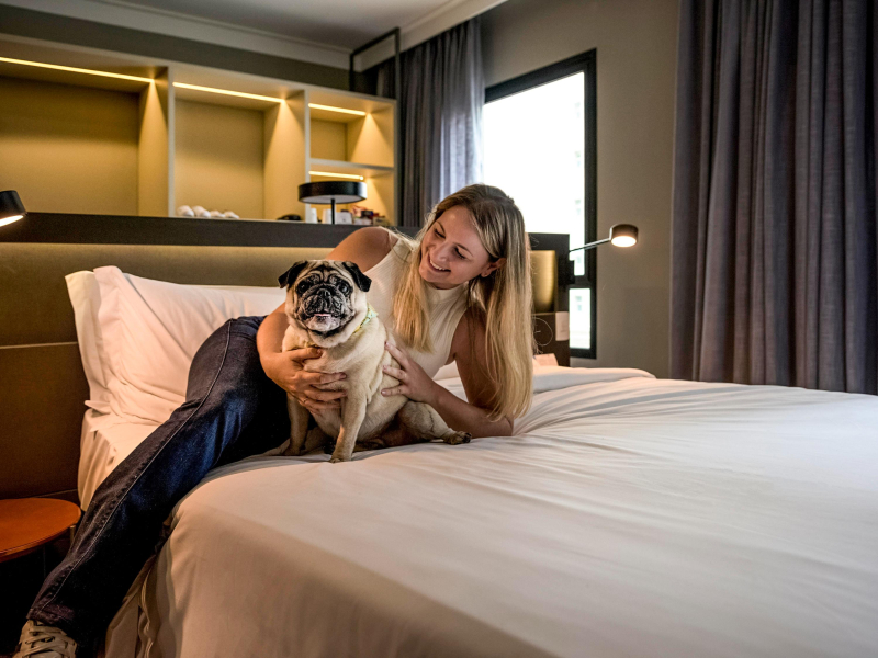 Las mejores ofertas de Novotel São Paulo Jardins São Paulo 