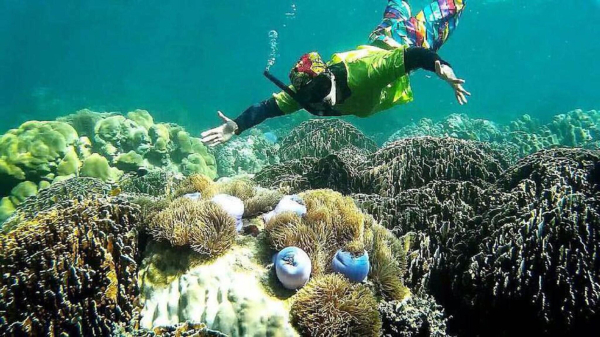 Las mejores ofertas de Koh Jum Resort Krabi