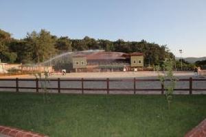 Padok Premium Hotel & Stables