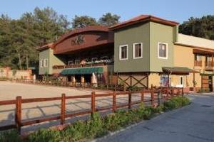 Padok Premium Hotel & Stables