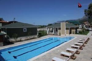 Padok Premium Hotel & Stables
