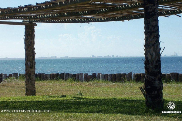 Las mejores ofertas de CocoAventura Veracruz