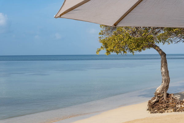 Las mejores ofertas de Hotel Isla del Encanto Cartagena