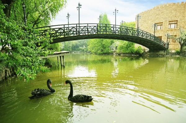 Las mejores ofertas de Golden Villa Shanghai