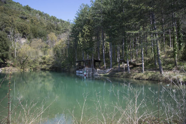 Las mejores ofertas de Torre Di Terigi Florencia