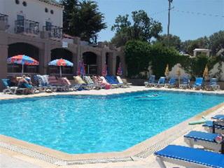 Las mejores ofertas de Ant Ovacik