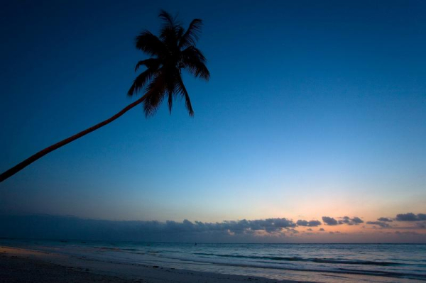 Las mejores ofertas de VOI KIWENGWA RESORT KIWENGWA