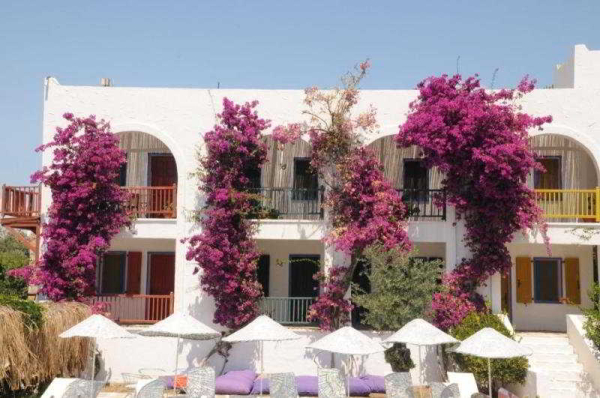 Las mejores ofertas de Samdan Bodrum