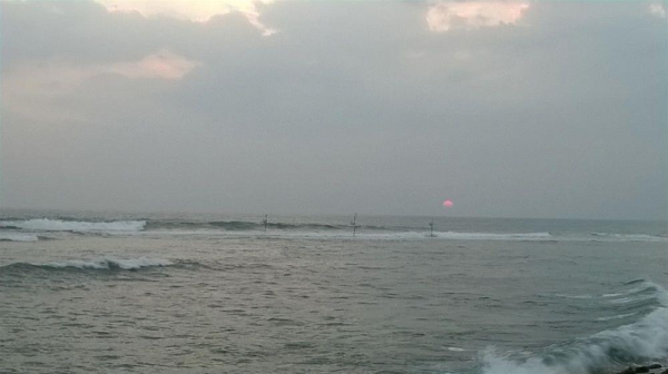 Las mejores ofertas de Insight Ahangama