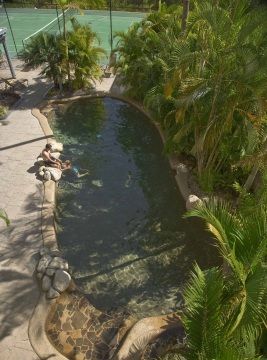 Las mejores ofertas de Amaroo At Trinity Cairns