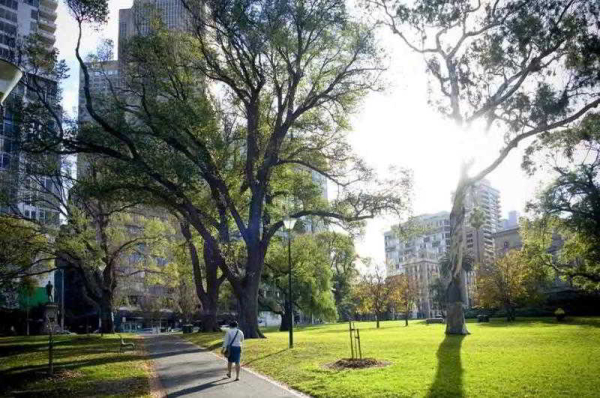 Las mejores ofertas de Melbourne Treasury Gardens Wodonga 