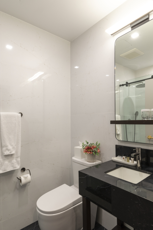 Las mejores ofertas de Broadway Plaza Hotel Nueva York