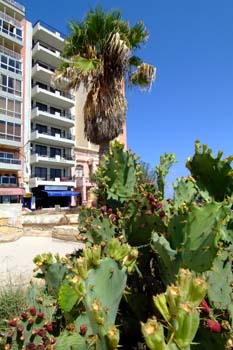 Las mejores ofertas de Roma Hotel Sliema