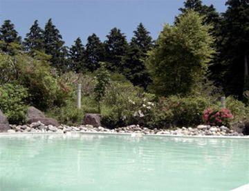 Las mejores ofertas de Yunohana Onsen Ryokan Hakone 